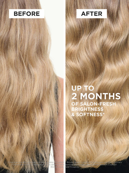 Blond Absolu Essentials Set