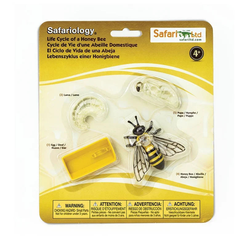 Life Cycle of a Honey Bee Montessori Language Animal Figurines Collection by Safari Ltd Early Science STEM Bee Toys 4yrs+