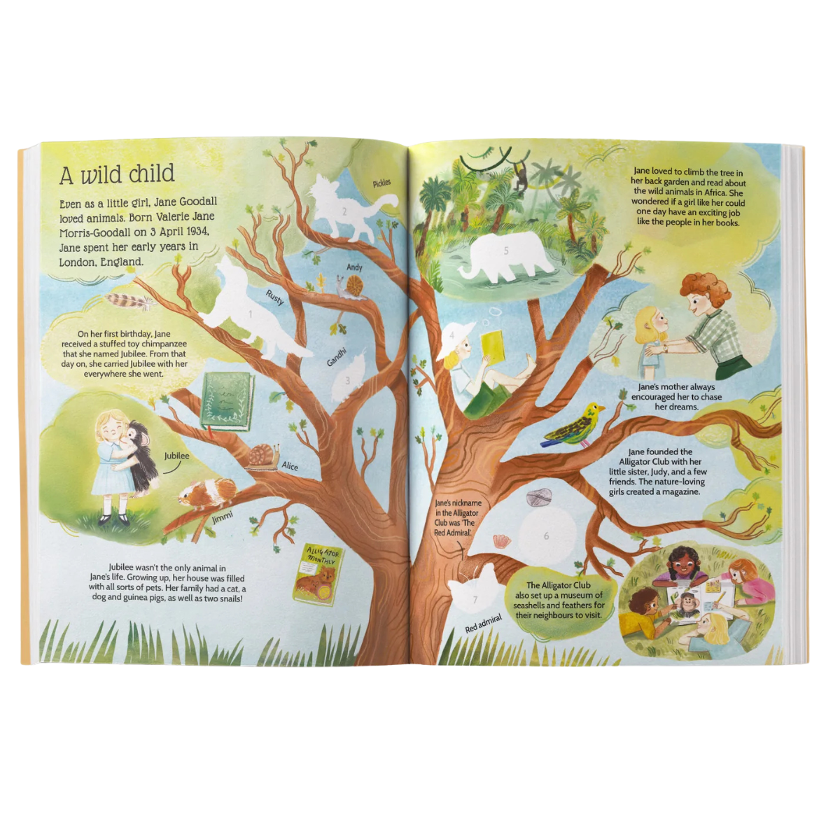 Jane Goodall Sticker Life Stories Sticker Activity Book with 70 Stickers (Paperback) by Daye Evie Travel Toys