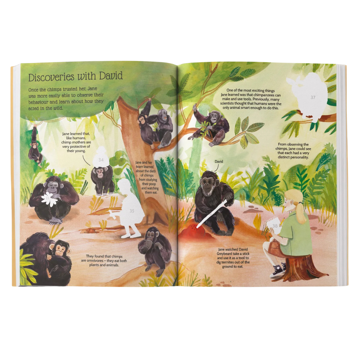 Jane Goodall Sticker Life Stories Sticker Activity Book with 70 Stickers (Paperback) by Daye Evie Travel Toys