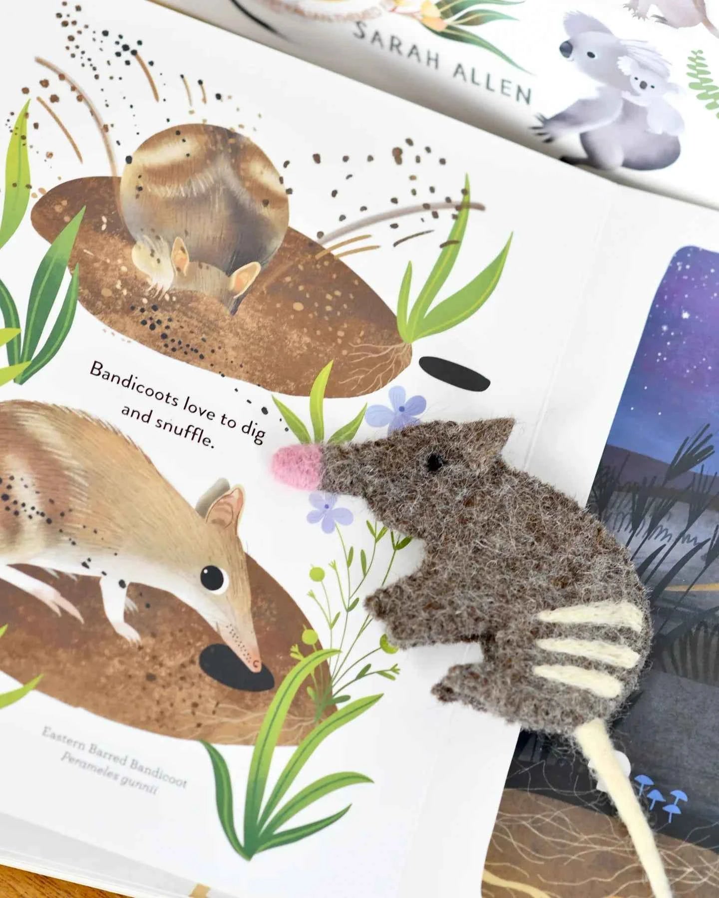Tara Treasures Felt Jumping Joeys Finger Puppet and Kids Book Set Felt Animals Pretend and Imaginative Play Best Seller 3yrs+