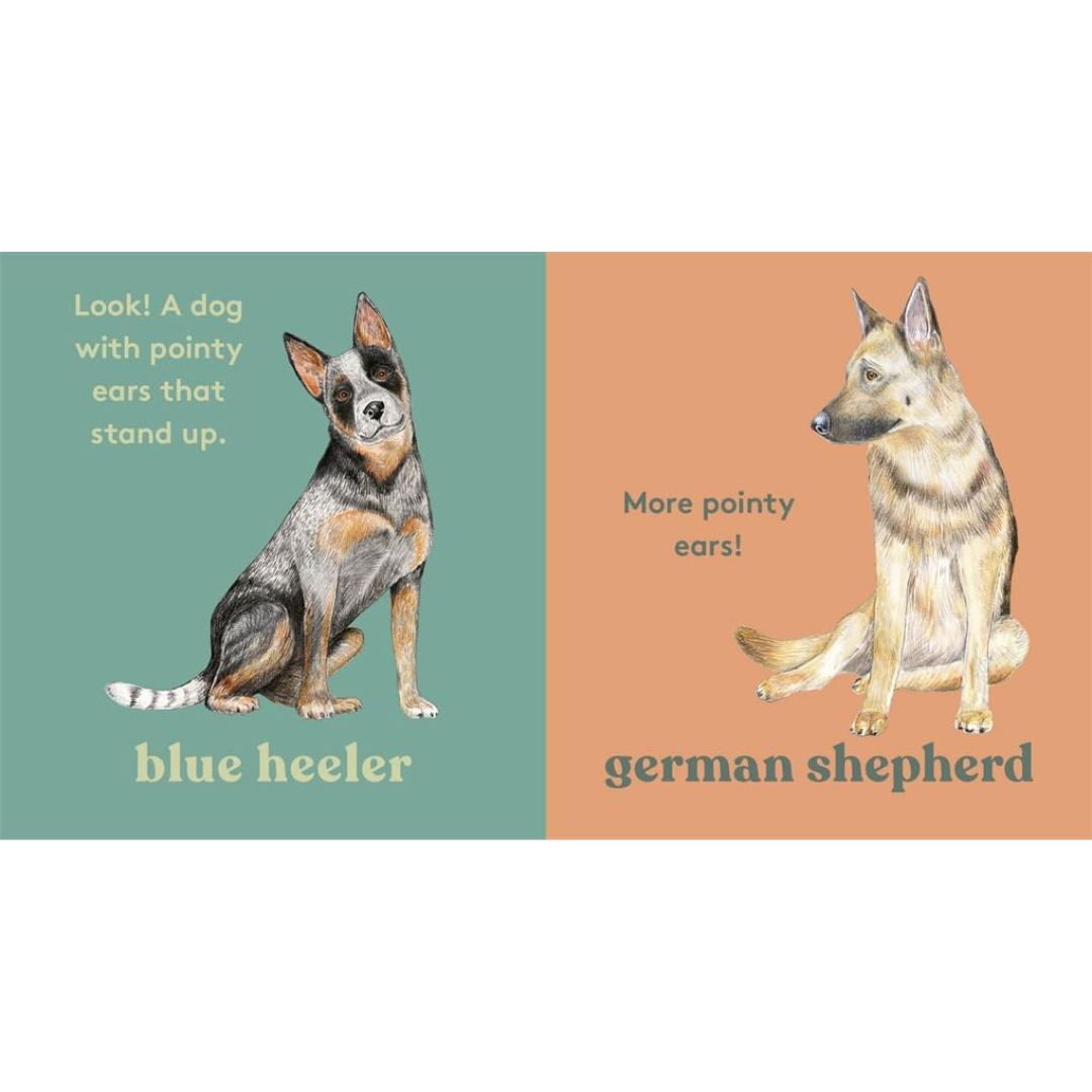 Look! A dog Touch and Feel (Board Book) by Anya Serota Kids Picture Book about 20 Dogs by Magic Cat