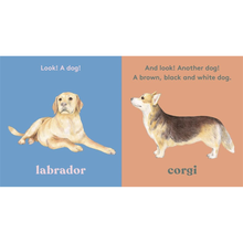 Look! A dog Touch and Feel (Board Book) by Anya Serota Kids Picture Book about 20 Dogs by Magic Cat