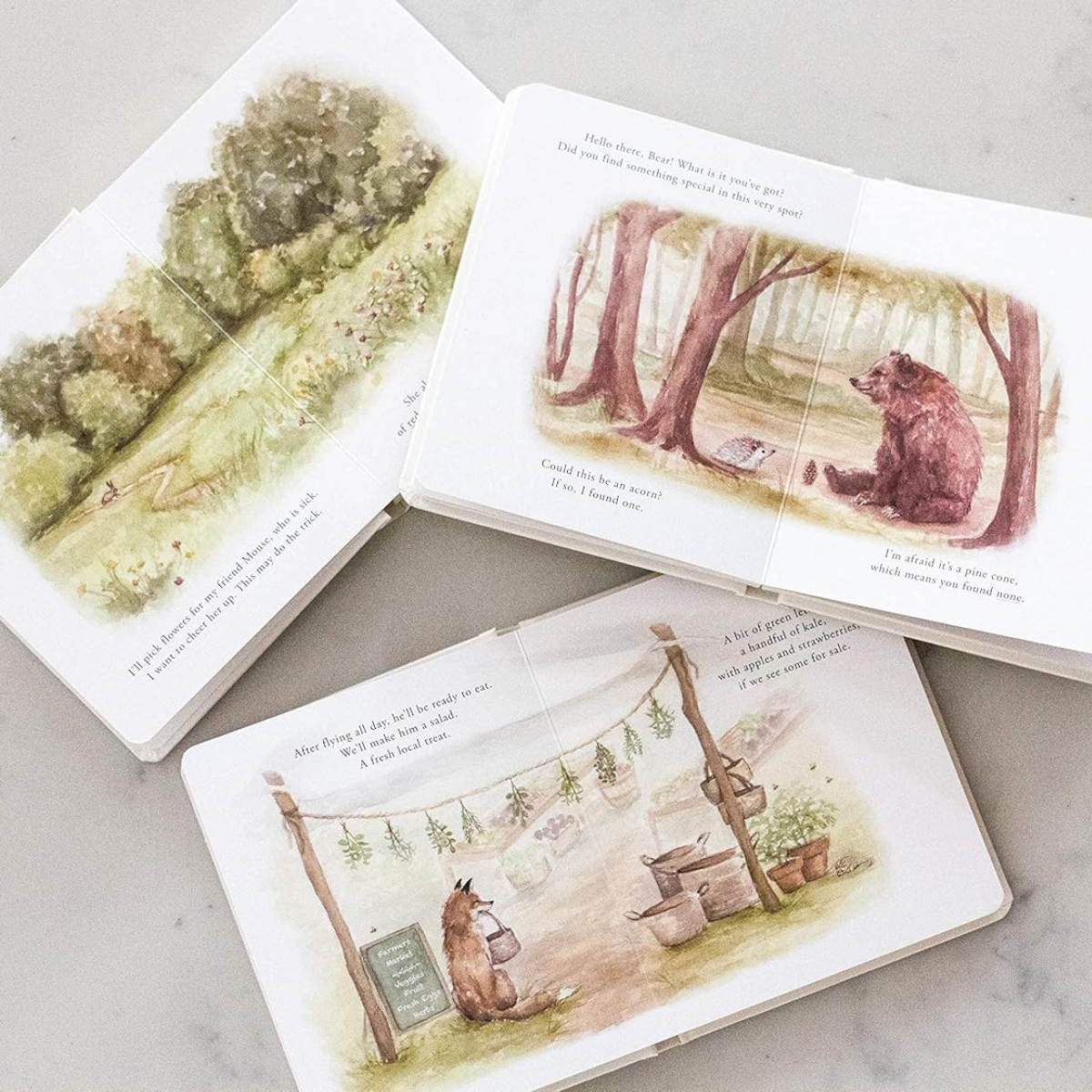 Our Little Adventures (3 Board Books) by Paige Tate First Words Books Introducing Quantity, Colours, Spatial Words and Kindness