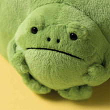 Jellycat Pouch Ricky Rain Frog  19cm