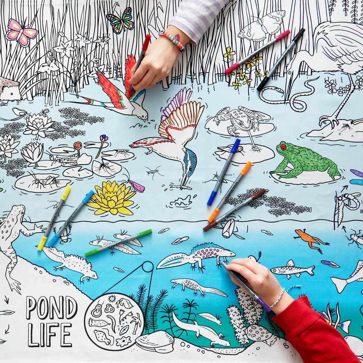 Pond Nature & Wildlife Colour And Learn Tablecloth by Eat Sleep Doodle Art and craft for kids 3yrs+