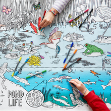 Pond Nature & Wildlife Colour And Learn Tablecloth by Eat Sleep Doodle Art and craft for kids 3yrs+