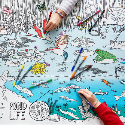 Pond Nature & Wildlife Colour And Learn Tablecloth by Eat Sleep Doodle Art and craft for kids 3yrs+