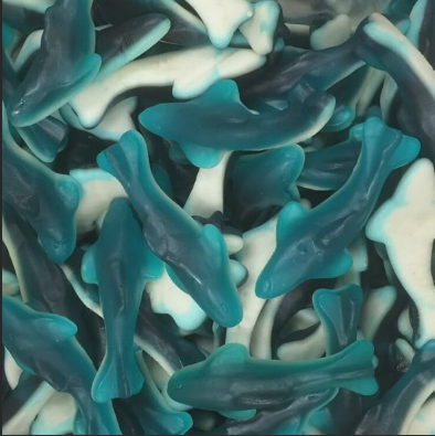 Lolliland Blue Gummy Shark