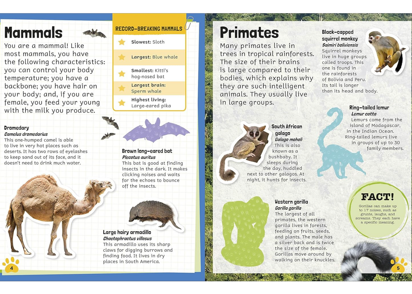 Sticker Encyclopedia Animals Sticker Book with over 600 Stickers (Paperback) by DK Activity Book