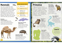 Sticker Encyclopedia Animals Sticker Book with over 600 Stickers (Paperback) by DK Activity Book