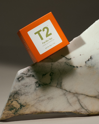 Pai Mu Tan Loose Leaf Cube 50g