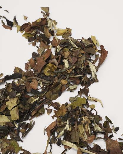 Pai Mu Tan Loose Leaf Cube 50g