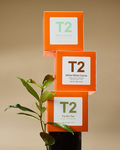 Pai Mu Tan Loose Leaf Cube 50g