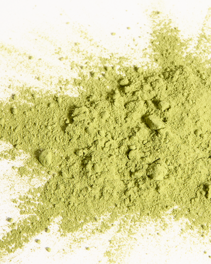 Brown Sugar Matcha Powder Tin 30g