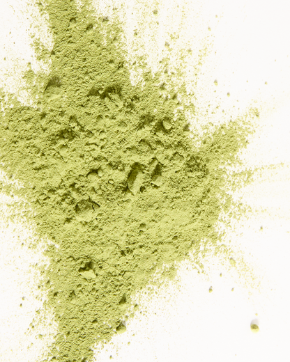 Blood Orange Matcha Powder Tin 30g