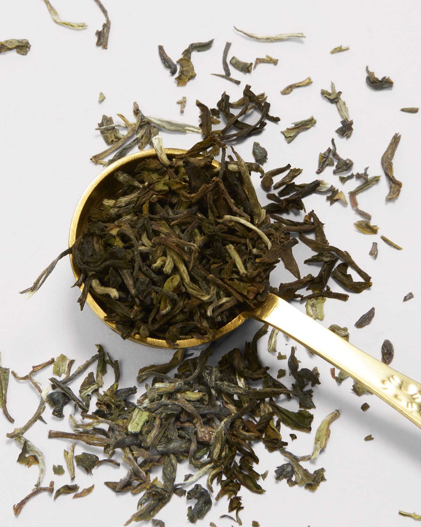 Darjeeling First Flush 2025 Tin 50g