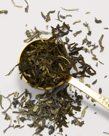 Darjeeling First Flush 2025 Tin 50g
