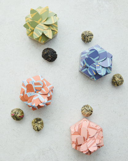Bloom Box 4 Pack Gift Pack
