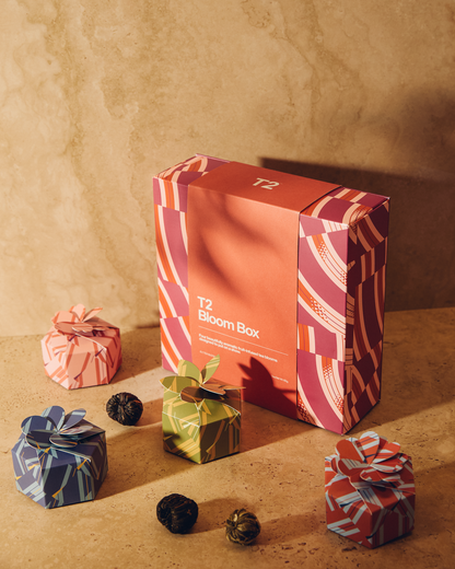 Bloom Box 4 Pack Gift Pack