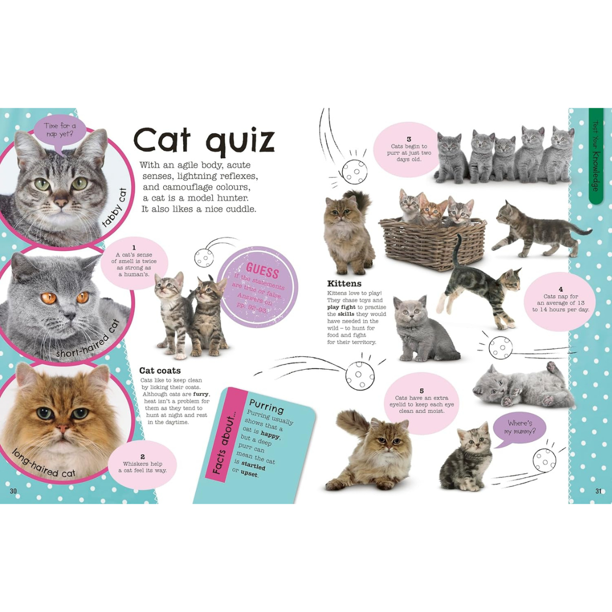 The Fact-Packed Activity Book: Animals Activity Interactive Book (Paperback) Art and Craft for Kids Travel Toys  5yrs+