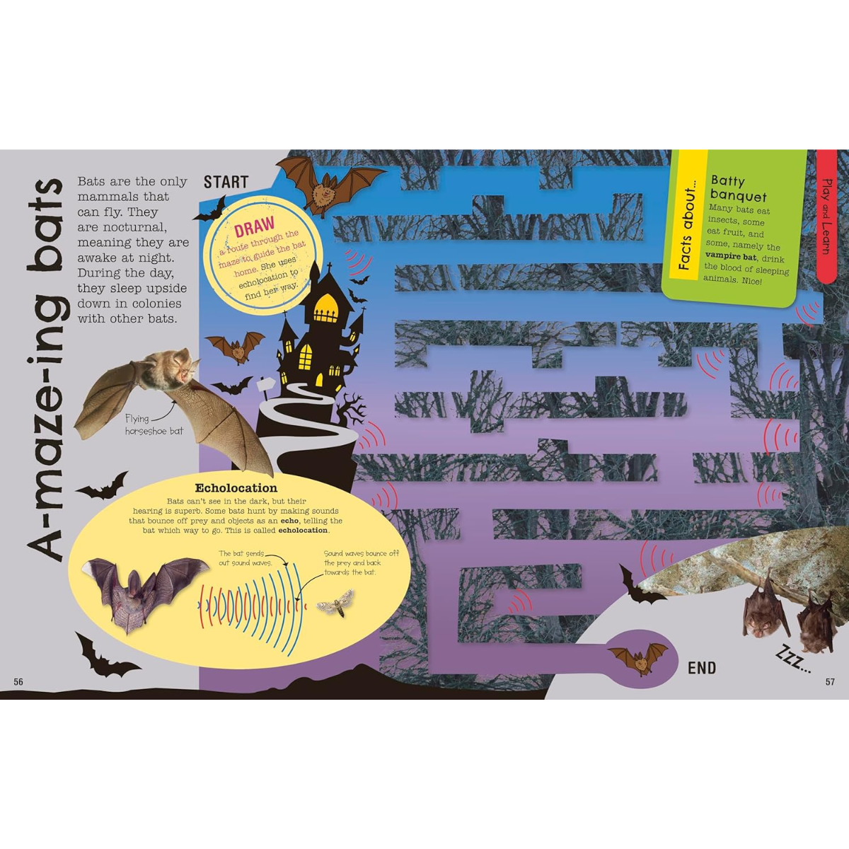 The Fact-Packed Activity Book: Animals Activity Interactive Book (Paperback) Art and Craft for Kids Travel Toys  5yrs+