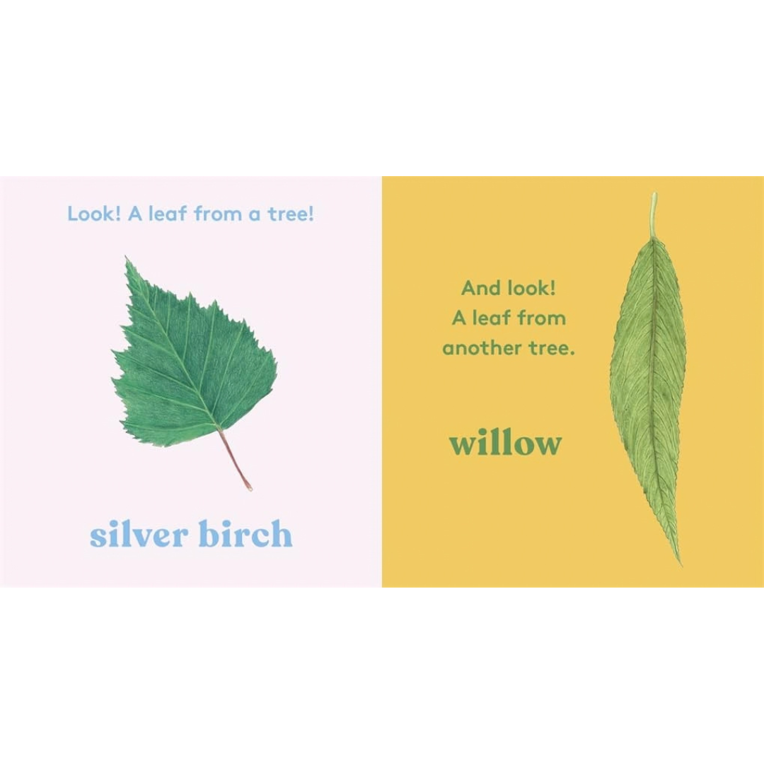 Look A tree (Board Book) by Anya Serota by Magic Cat Kids Touch and Feel Nature Book Introducing 20 Trees and Their Leaves