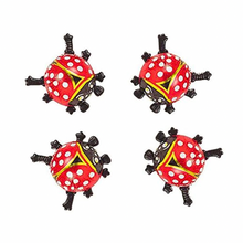 Chocolate Ladybird / Storz - 6g
