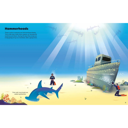 Big Sticker Activity Book of Sharks (Paperback) by Alice James Ocean Animal Theme Travel Toys
