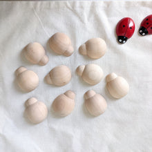 Wooden Ladybug Set of 10 pieces Nature Play Tools and Toys 3yrs+ DISCONTINUED