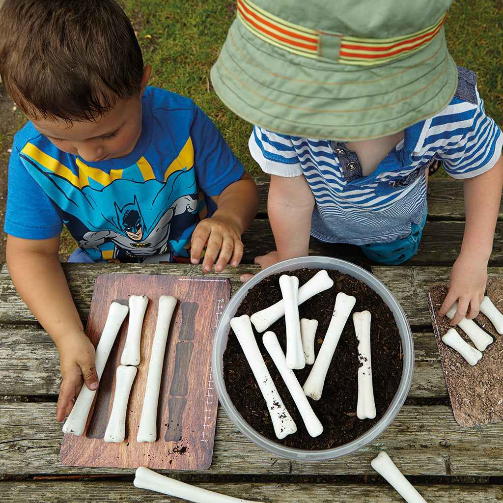 Yellow Door Dinosaur Bones Match and Measure Set with Activity Cards Dinosaur toy Early Science and Math Games for Kids STEM Toys Dinosaur and Dragon Theme 3yrs+