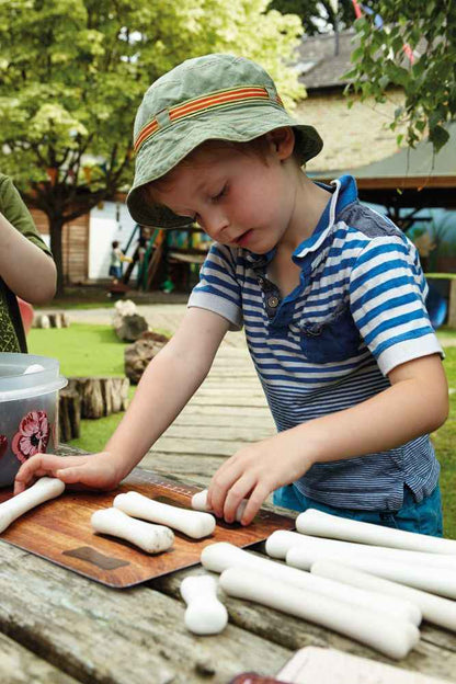 Yellow Door Dinosaur Bones Match and Measure Set with Activity Cards Dinosaur toy Early Science and Math Games for Kids STEM Toys Dinosaur and Dragon Theme 3yrs+