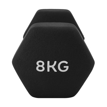 8kg Dumbbell