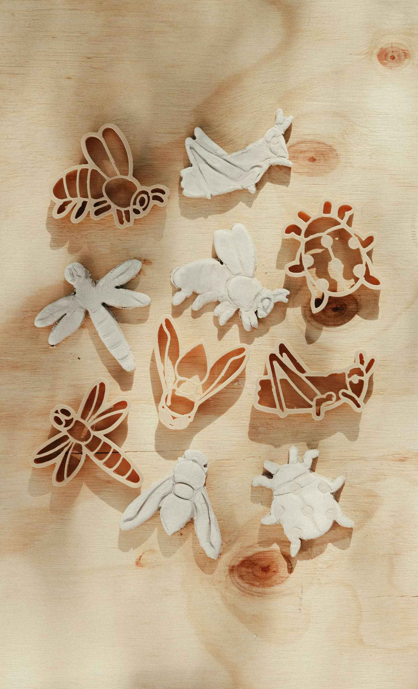 Kinfolk Pantry Mini Insect Eco Cutter Set Playdough Sand Toys Art and craft for kids 3yrs+