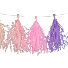 Pastel Rainbow Tassel Garland