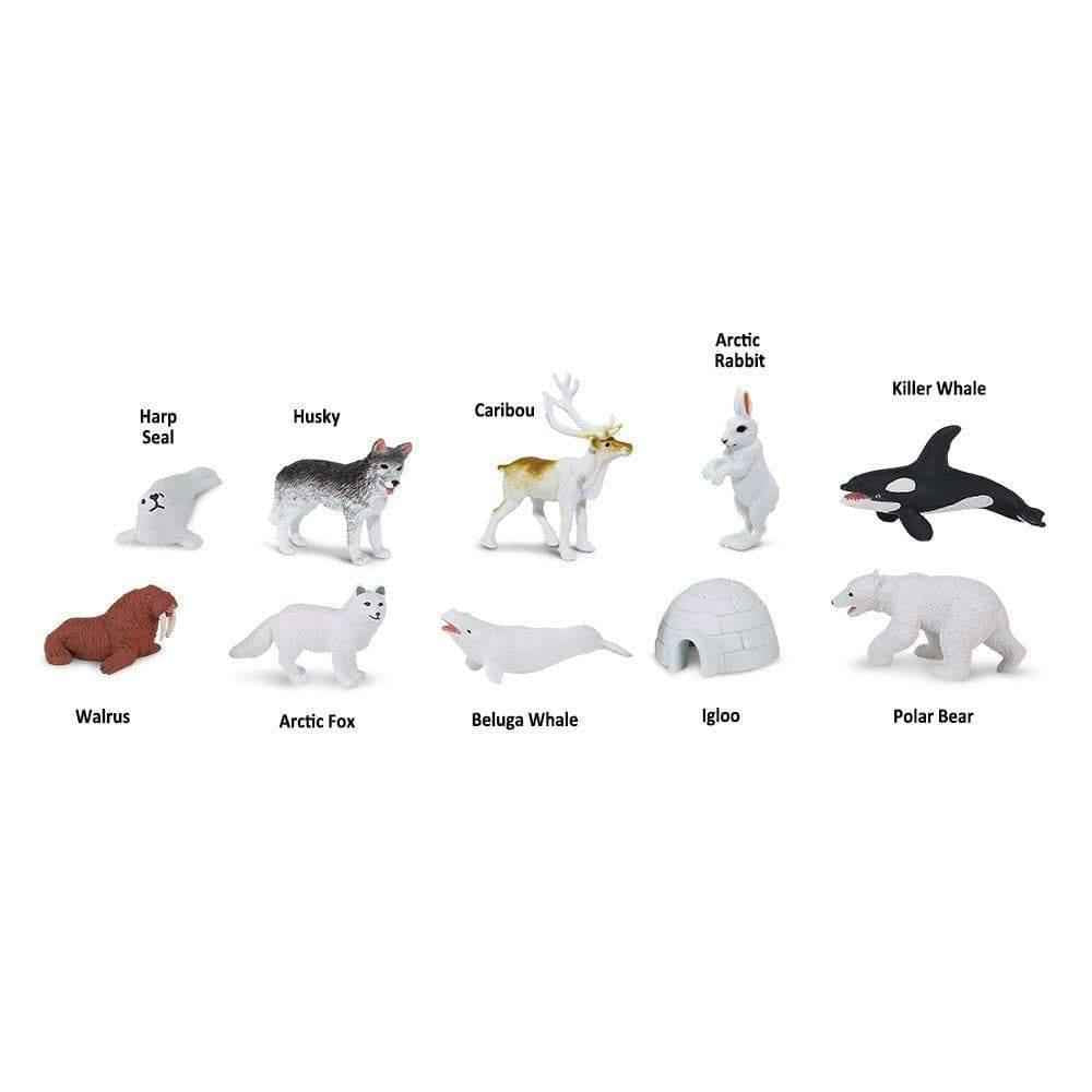 Tube of 10 Arctic Animal Figurines Montessori Language Learning Figurines by Safari Ltd Toob Range Ocean Toys 3yrs+