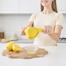 Folding Juicer