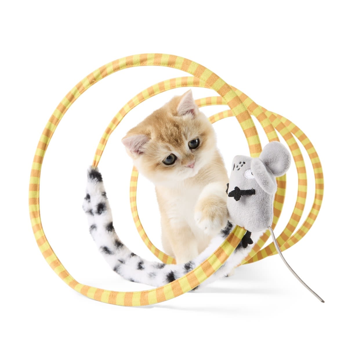 Cat Toy Spiral Tunnel