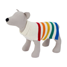 Pet Rainbow Knit Jumper - Large