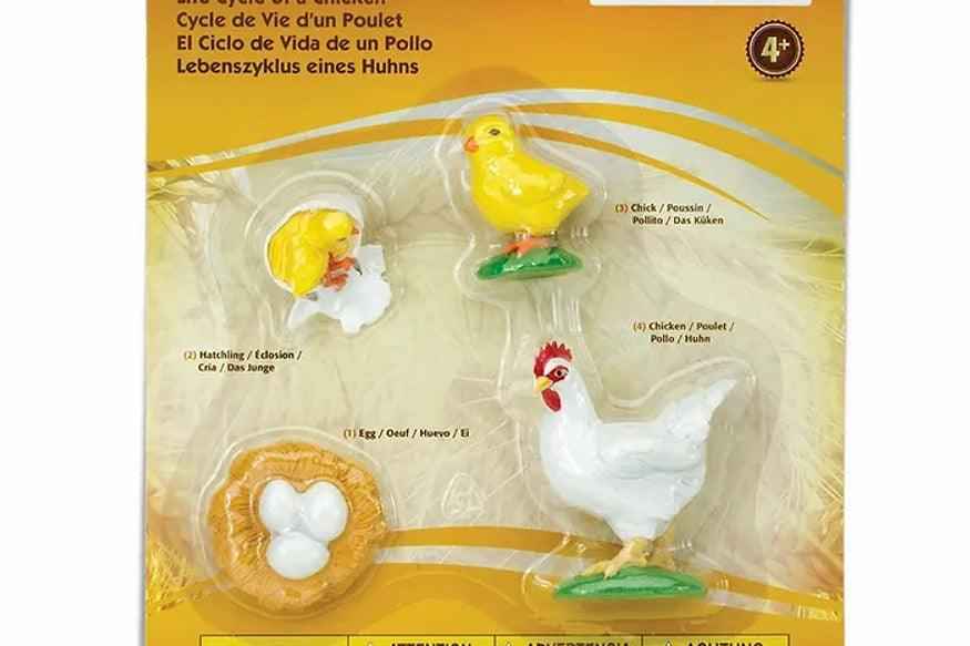Life Cycle of a Chicken Montessori Farm Animal Figurines Language Figurines by Safari Ltd Early Science STEM Toys 4yrs+
