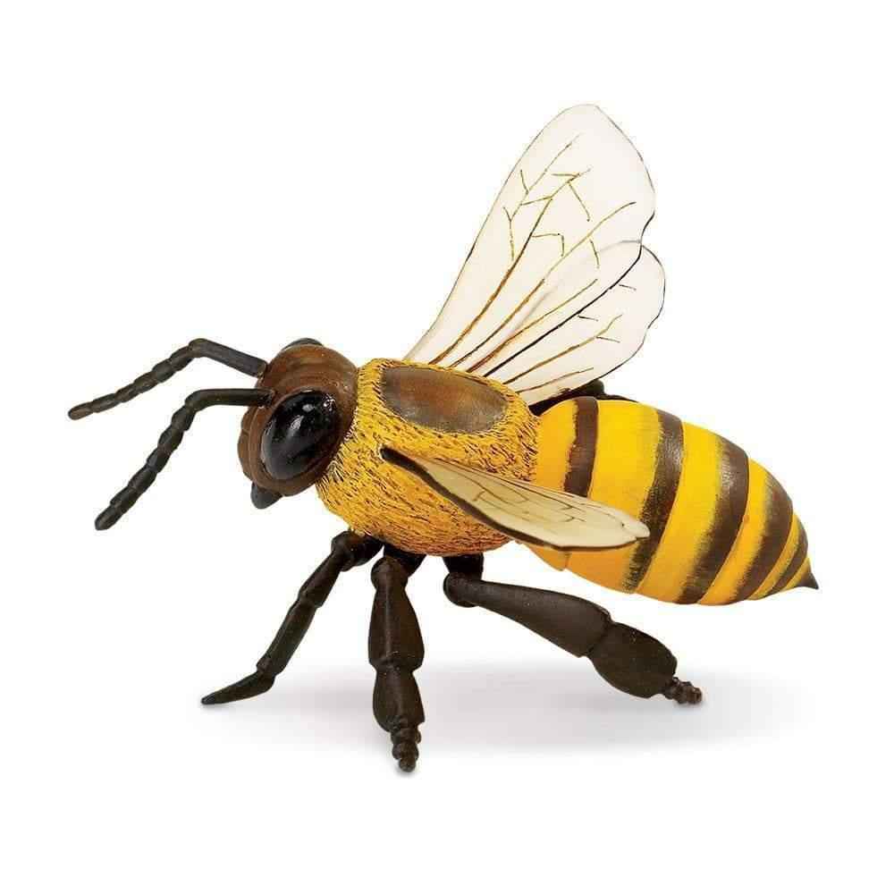Honey Bee Figurine by Safari Ltd Bee Toys 3yrs+