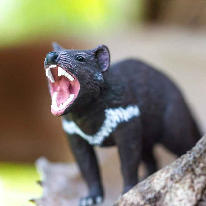 Tasmanian Devil Figurine by Safari Ltd Australian Collection Animal Figurines 3yrs+