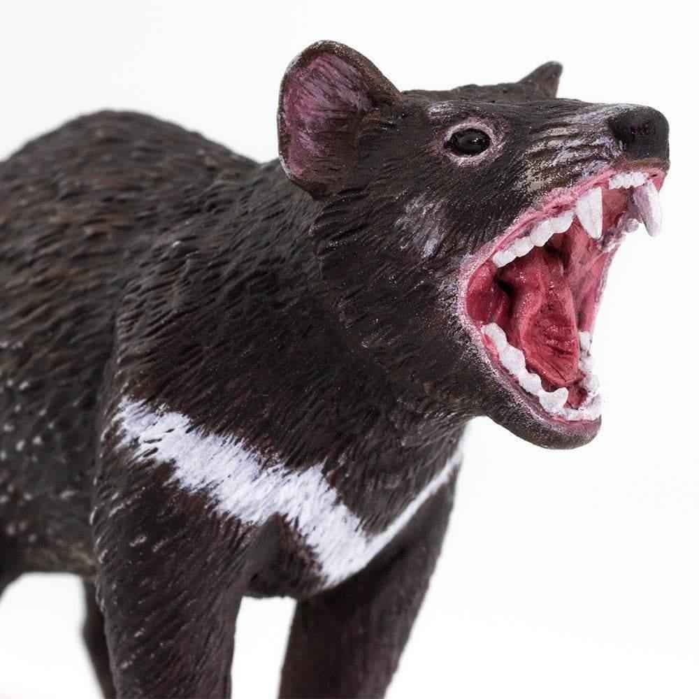 Tasmanian Devil Figurine by Safari Ltd Australian Collection Animal Figurines 3yrs+
