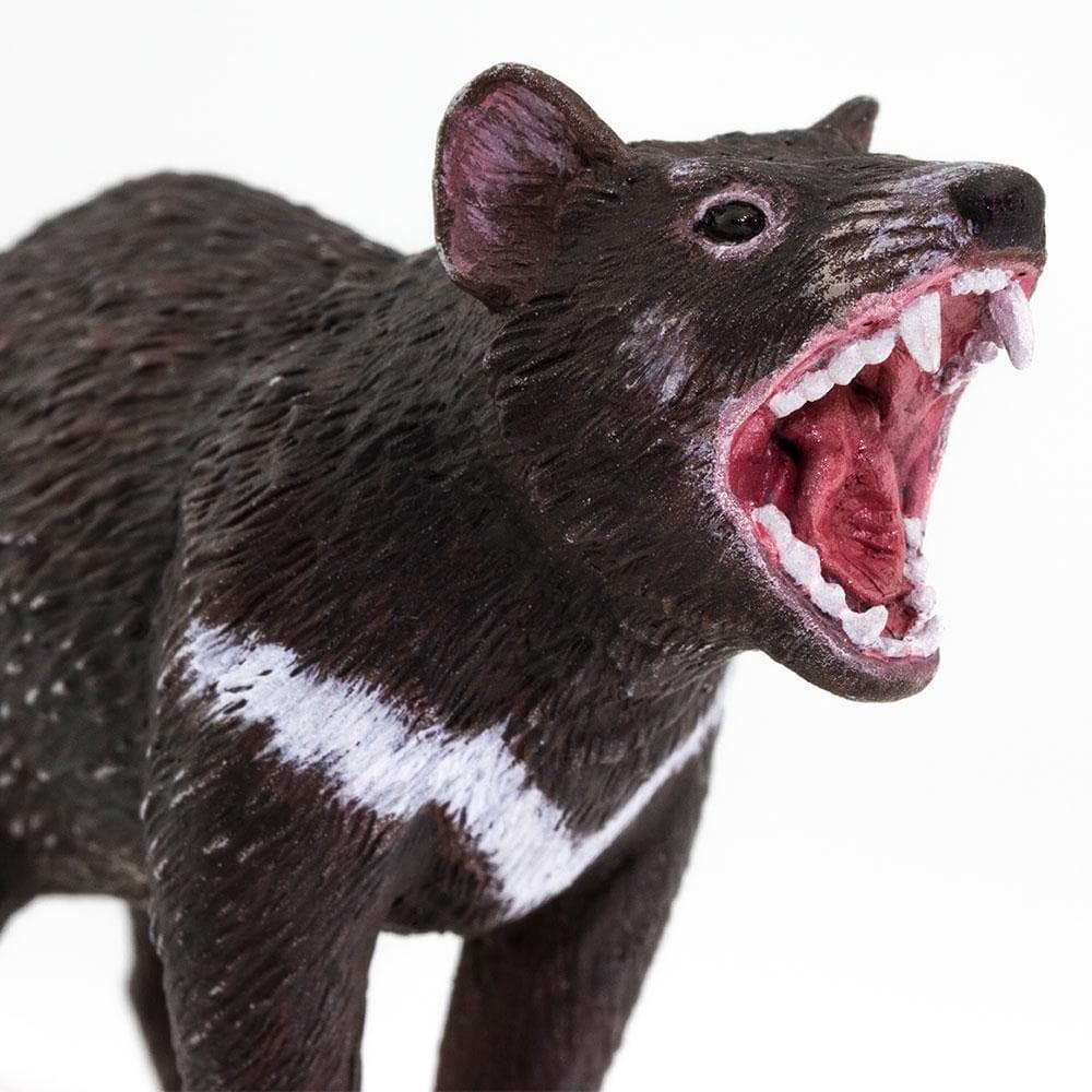 Tasmanian Devil Figurine by Safari Ltd Australian Collection Animal Figurines 3yrs+