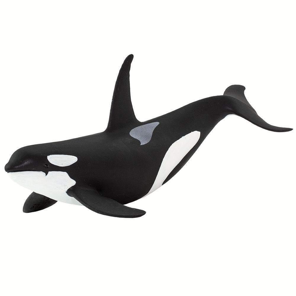 Orca Killer Whale Figurine by Safari Ltd Sea Life collection Animal Figurines 3yrs+