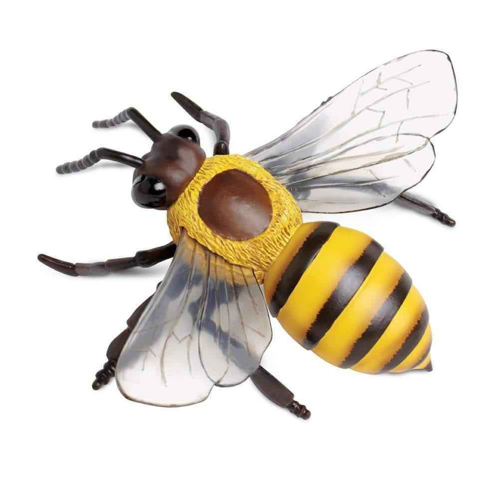Honey Bee Figurine by Safari Ltd Bee Toys 3yrs+