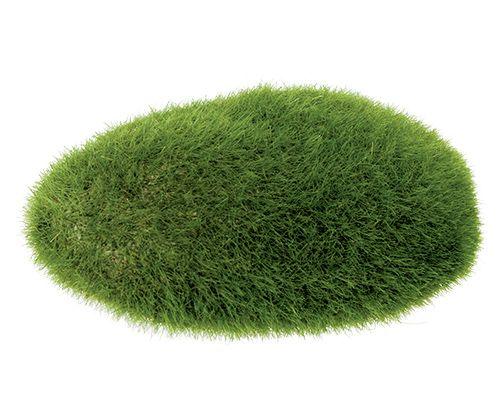 Textured Poly Stones 5’s Grassy Pretend Play