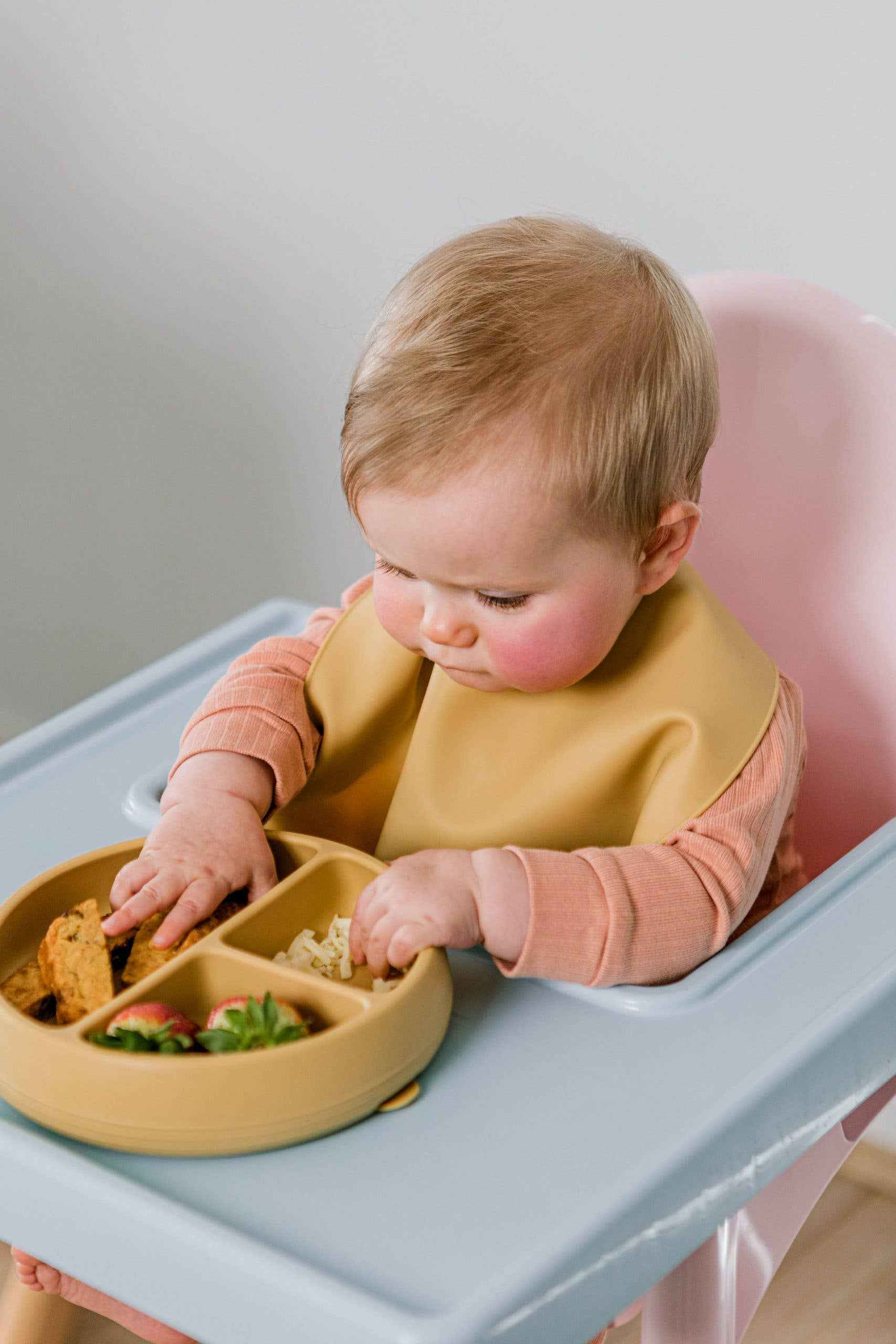 Starting Solids Australia Suckie Scoop Divided Plate Baby Practical Life Materials Baby Gifts Idea 6m+