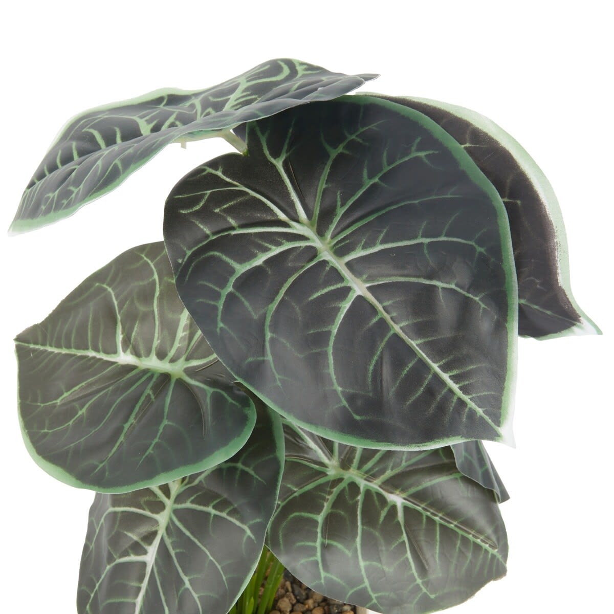 Artificial Alocasia in Pot