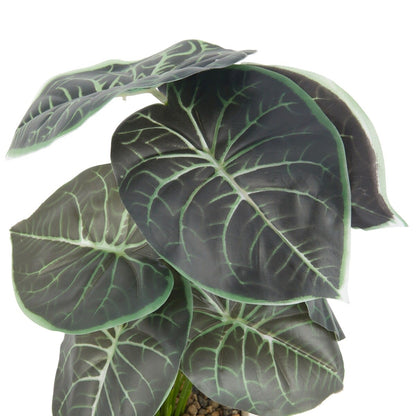 Artificial Alocasia in Pot